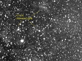 IC1318(Gamma Cygni)